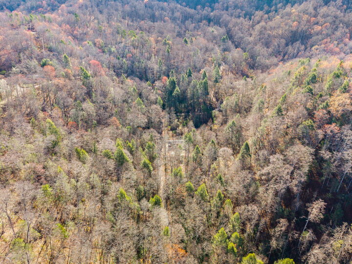 Property Photo:  790 Dinah Blair Hollow Road  KY 41858 