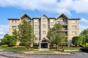 Property Photo:  8505 Woodward Avenue 201  IL 60517 