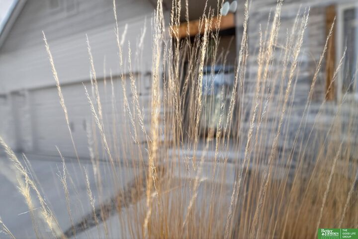 Property Photo:  18807 Cottonwood Street  NE 68136 