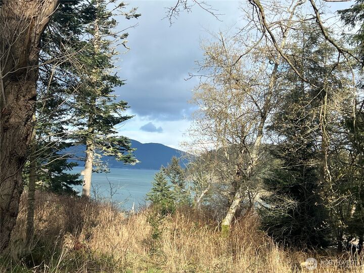 Property Photo:  0  Davis Beach Road  WA 98221 