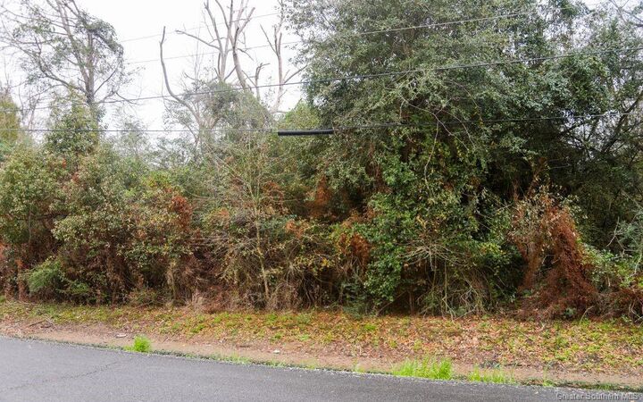 Property Photo: 0 W Hebert Road W LA 70607