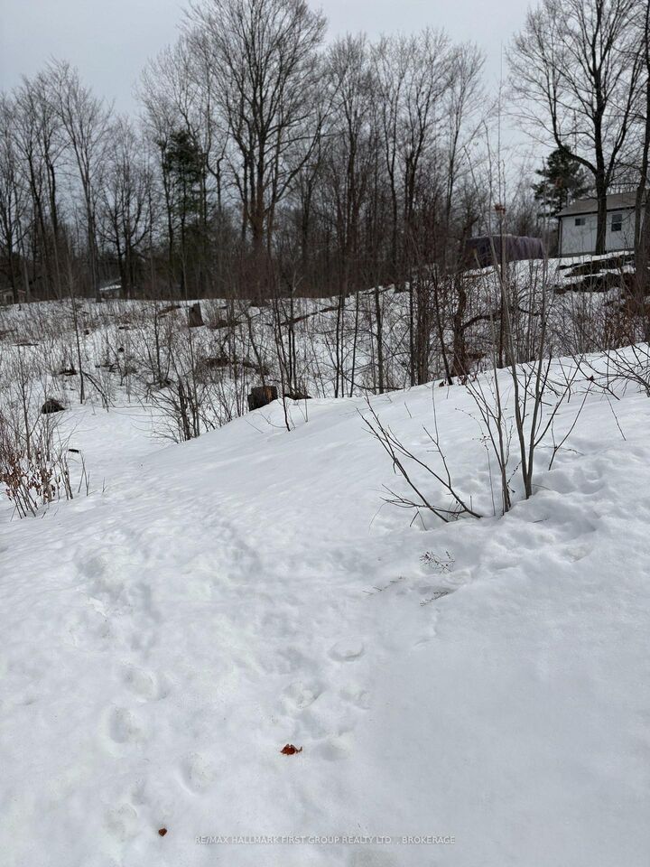 Property Photo:  Lot 0 County Road 38 N/A  ON K0H 2P0 