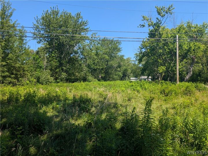 Property Photo:  Eleventh Avenue  NY 14787 