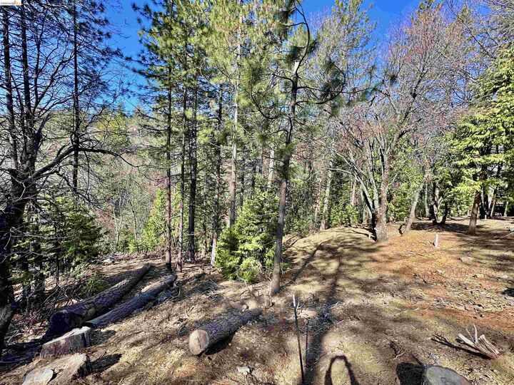 Property Photo:  23956 Stable Rd  CA 95370 