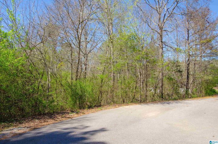 Property Photo:  0 Howard Circle 0  AL 35096 
