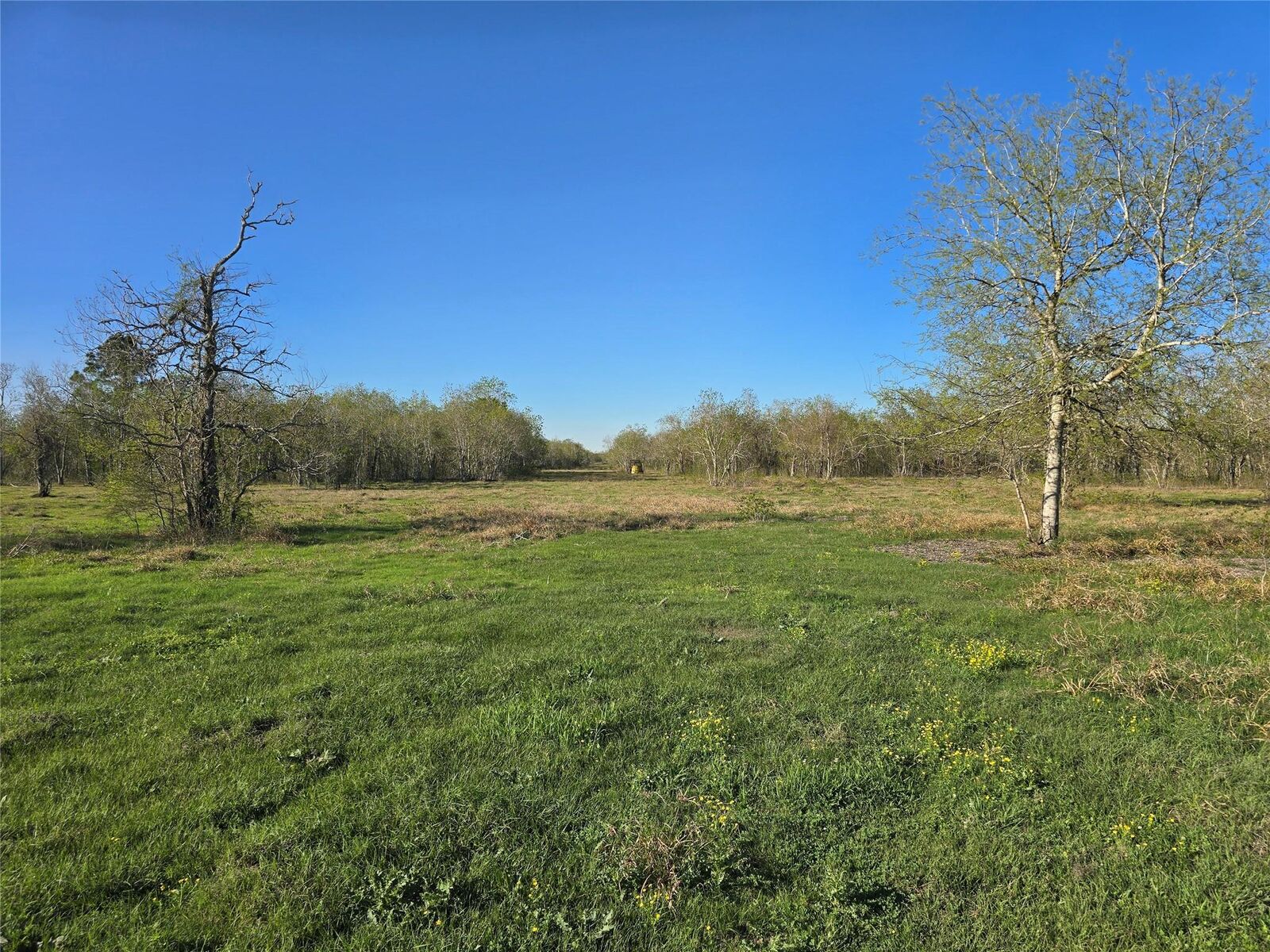 Property Photo:  0 County Road 63  TX 77583 