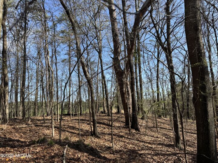 Property Photo:  1978 Wood Valley Road  GA 31211 