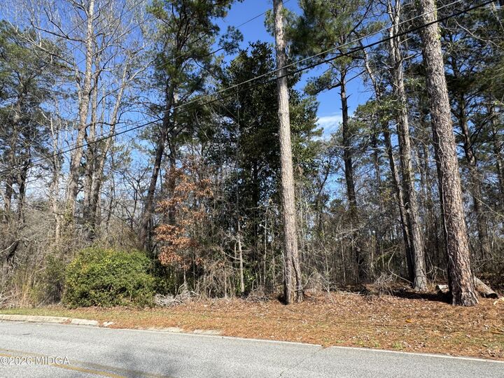Property Photo:  1954 Wood Valley Road  GA 31211 