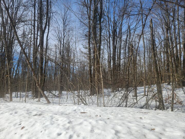 Property Photo:  Valleyridge Circle  MI 49611 