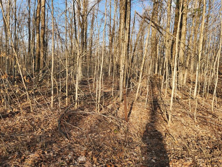 Property Photo: Valleyridge Circle MI 49611