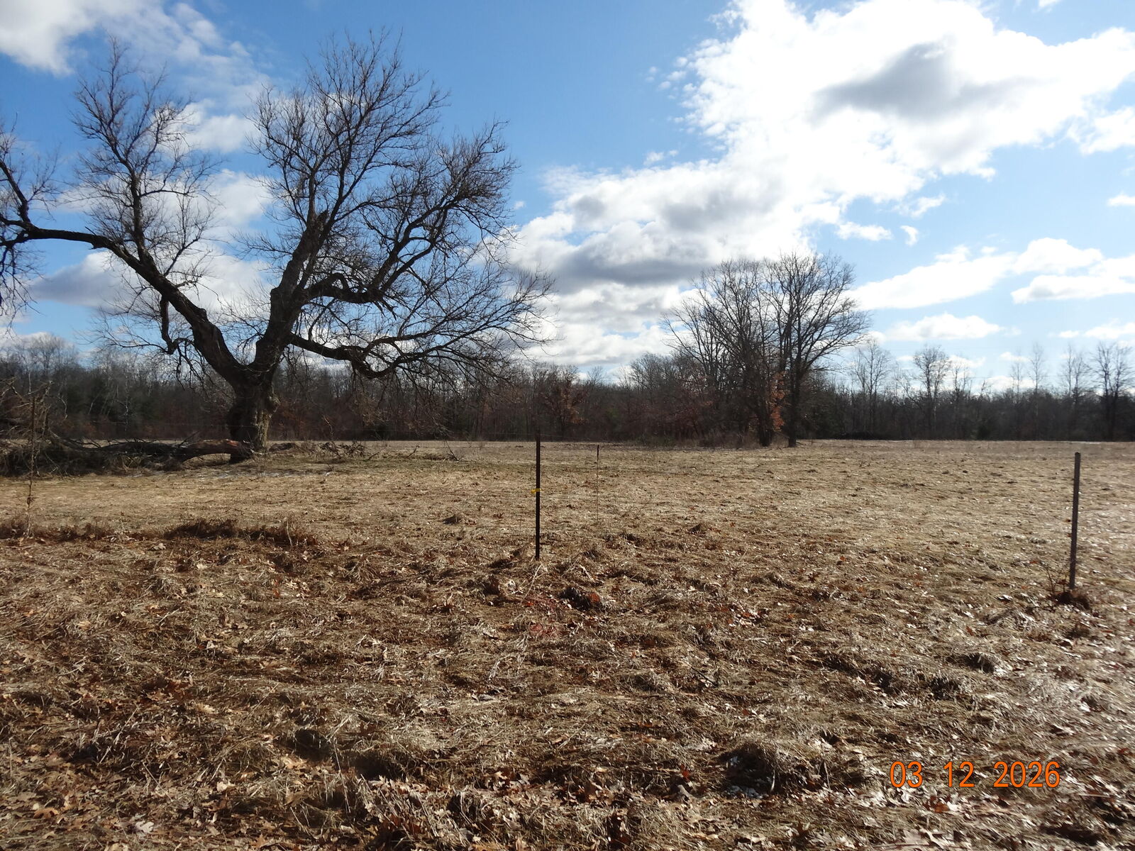 Property Photo:  550 S Oak Avenue  MI 49349 