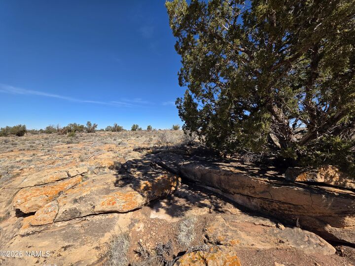 Property Photo:  1153 E Indian Meadows Road  AZ 86046 