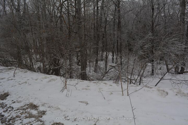 0 Sucie Road — photo 1