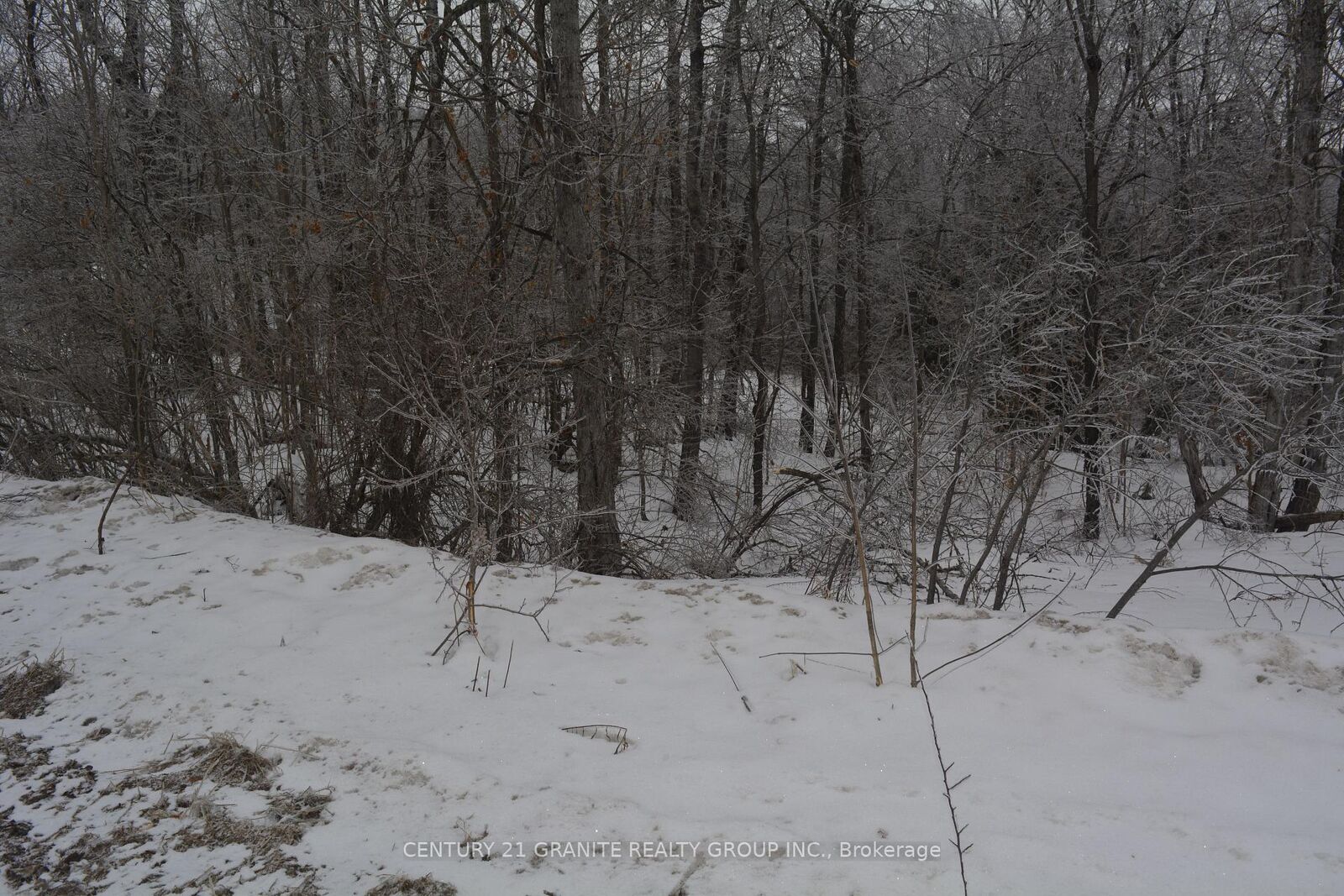 Property Photo:  0 Sucie Road  ON K0L 2A0 