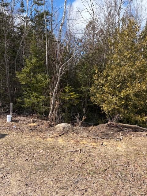 Property Photo:  11 Lakeside Woods Crescent  ON N0H 2C0 