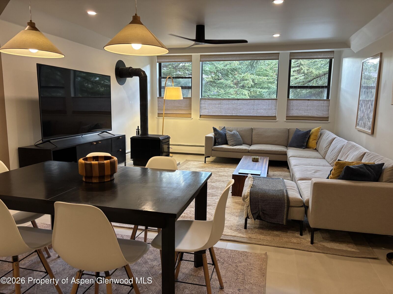 Property Photo:  907 Vine Street  CO 81611 