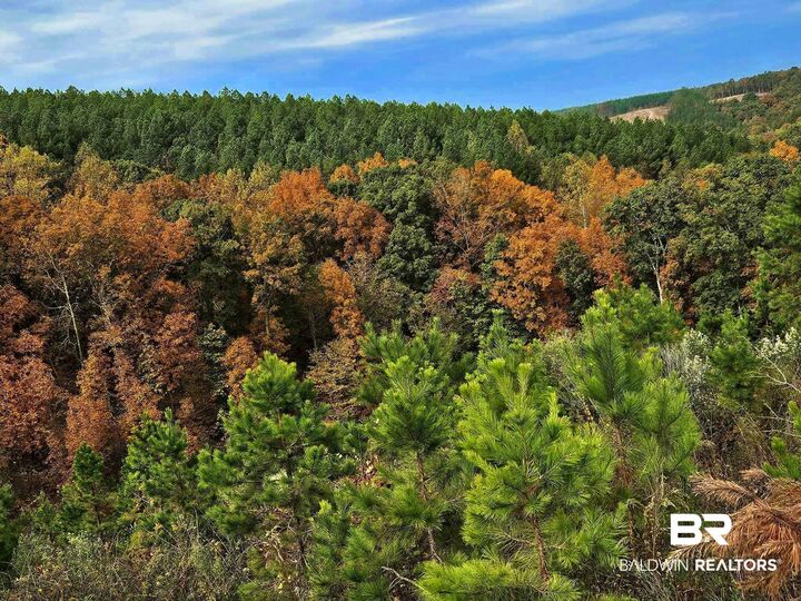 Property Photo: 0 County Road 79 AL 36577