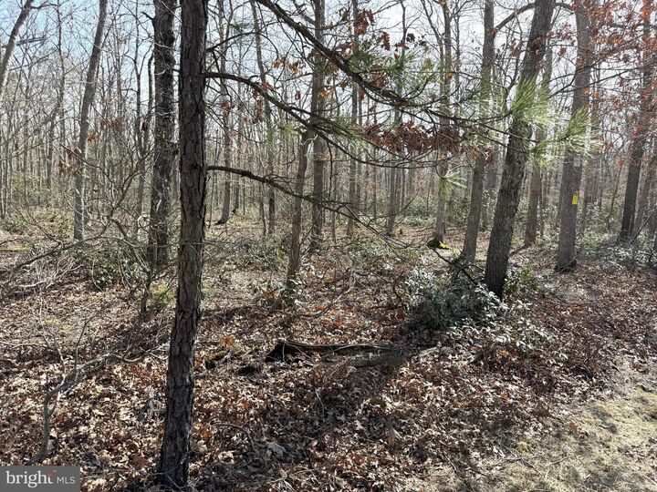 Property Photo:  0 Cedar Bridge Rd  NJ 08005 