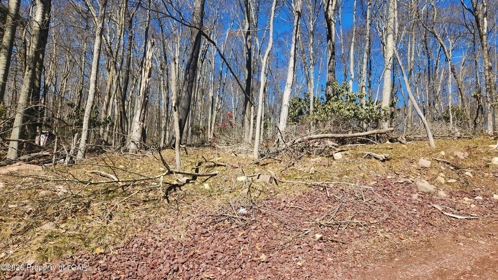 Property Photo: 1425 State Street PA 18661