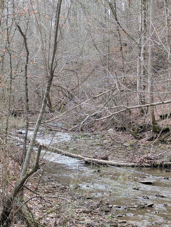 Property Photo: 456 Arnetts Fork Road KY 40914