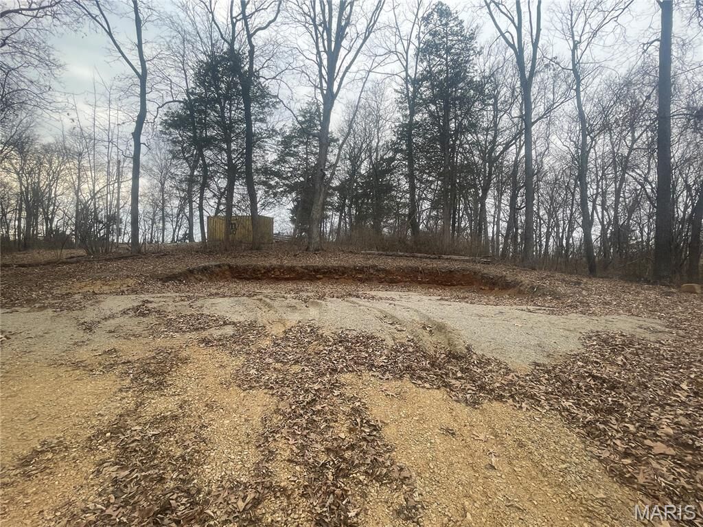 Property Photo:  14916 Lakeview Drive  MO 63670 