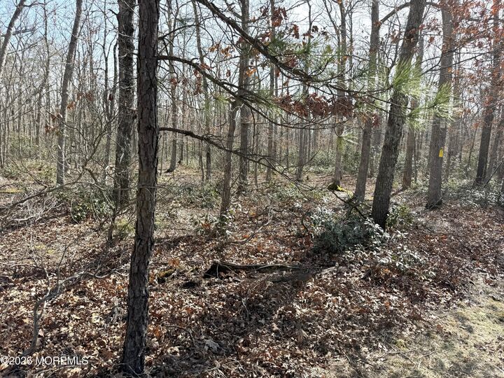 Property Photo:  0 Cedar Bridge Road  NJ 08005 