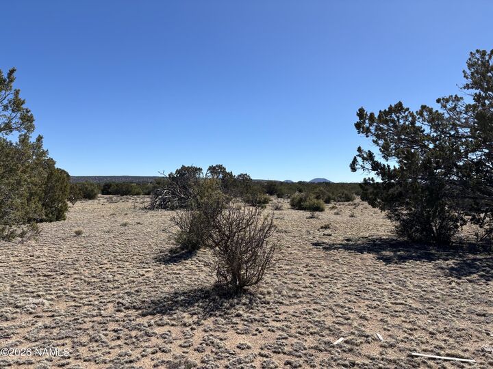 Property Photo:  3156 Jackrabbit - 27.97 Ac Road  AZ 86046 