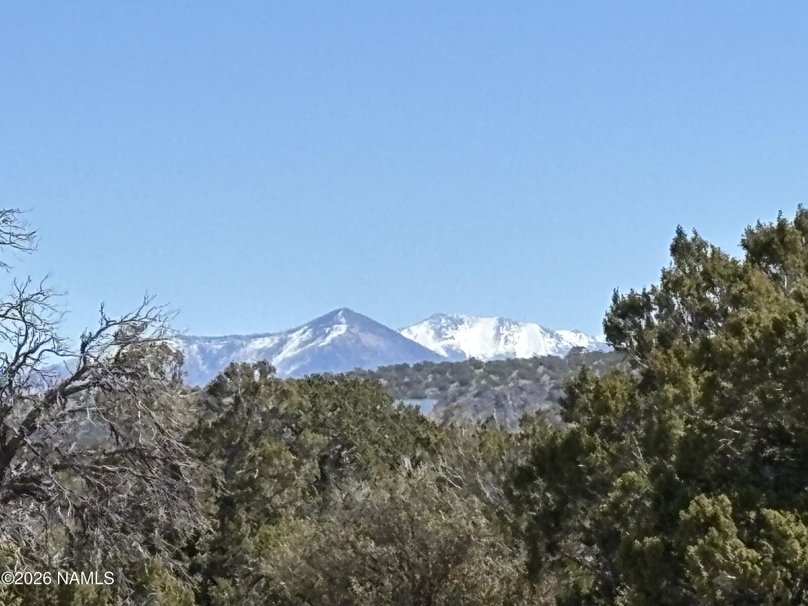 Property Photo:  3156 Jackrabbit - 14 Ac Road  AZ 86046 