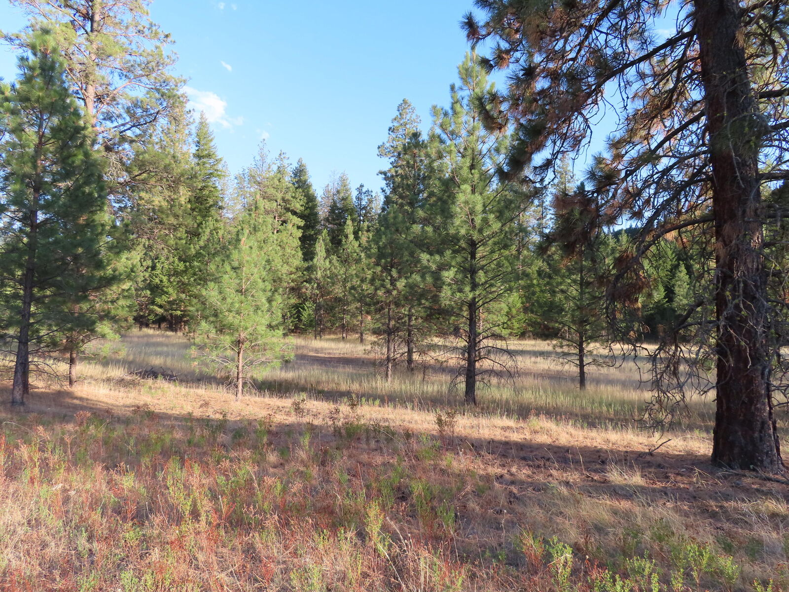 Property Photo:  111 Toroda Creek Rd  WA 99118 