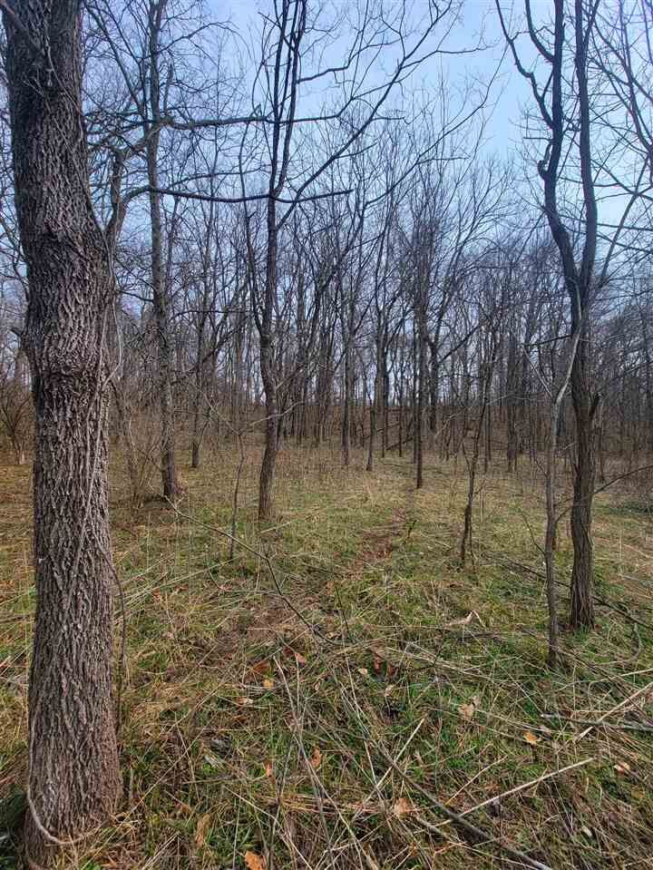 Property Photo:  3686 N Plilomath Road  IN 47325 