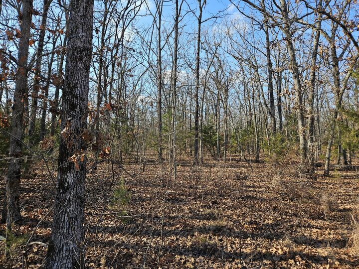 Property Photo:  Tract 4 State Highway 174  MO 65705 