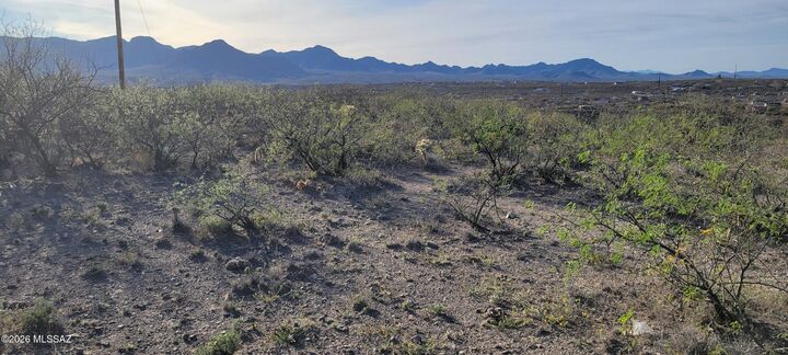 Property Photo: 1799 Crow Court Court 45 AZ 85648