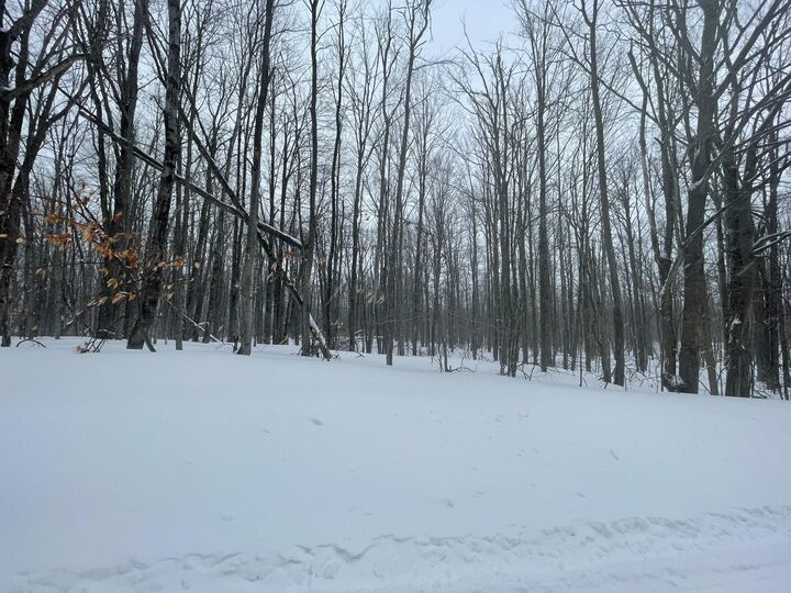 Property Photo:  L 320-321 Whispering Pines Drive  MI 49659 