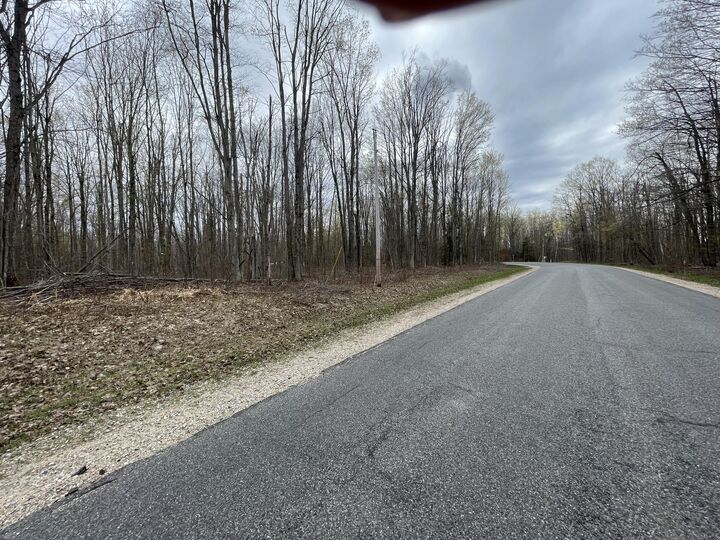 Property Photo:  L 320-321 Whispering Pines Drive  MI 49659 