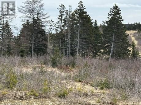 Property Photo:  7A Cotters Street  NL A1Y 1A7 