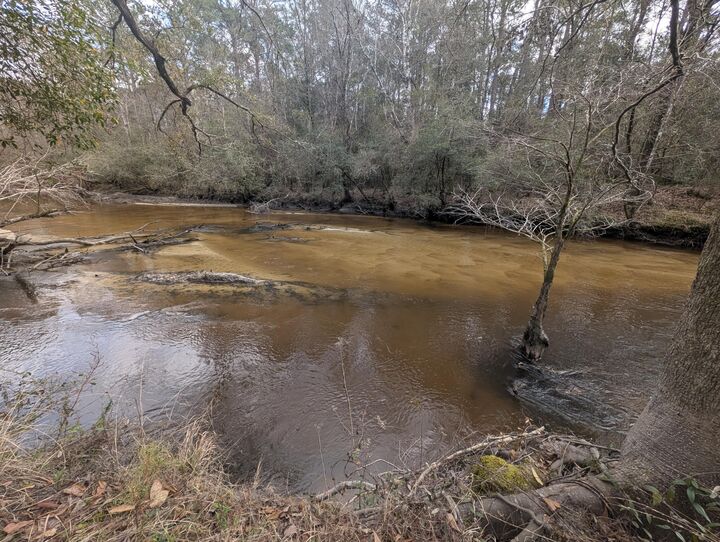 Property Photo:  Lot 9 Plantation Lane  FL 32433 