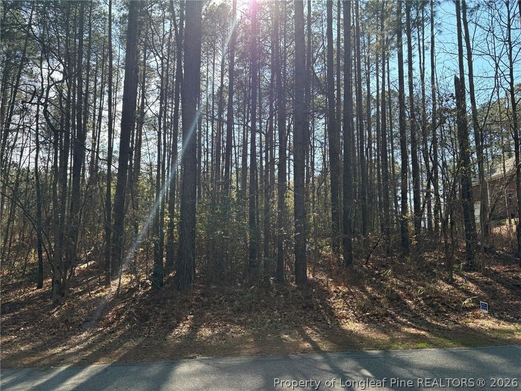 Property Photo: Lot 7 Lakeshore Drive NC 28396