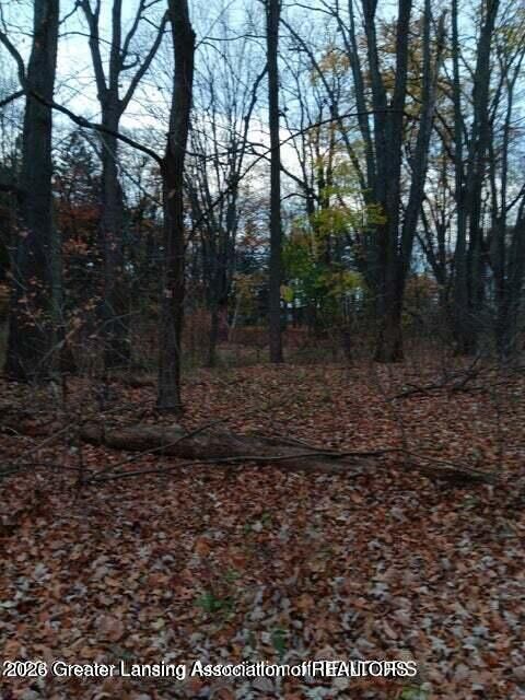 Property Photo:  0 Beechwood Dr  MI 48895 