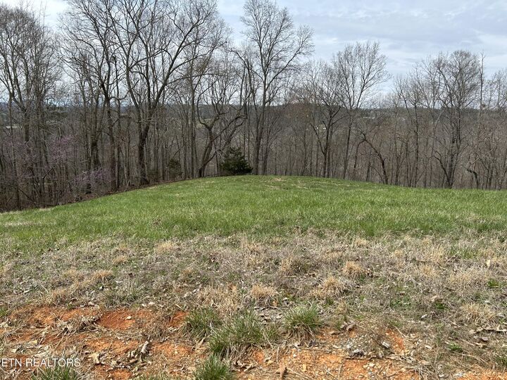 Property Photo:  Lot 260-B Marble Point Way  TN 37825 