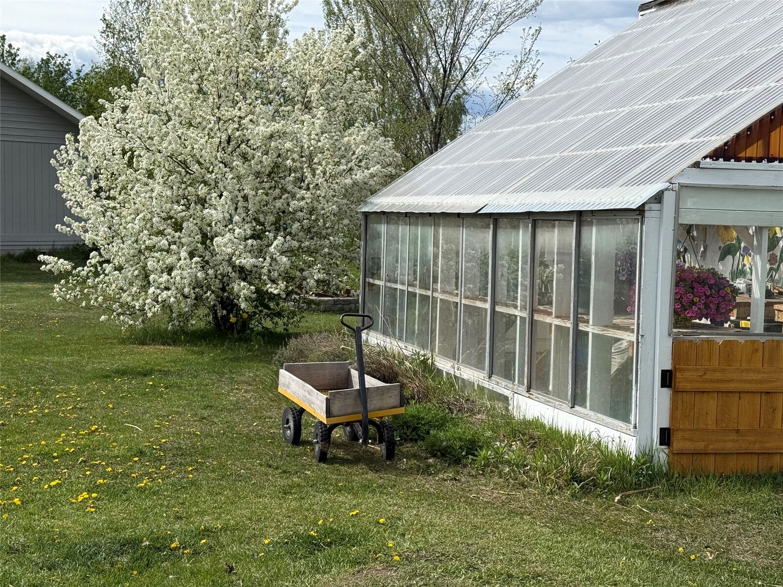 Property Photo:  50 Baron Lane  MT 59917 