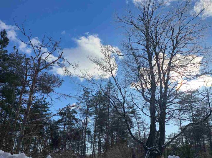 Property Photo: Tbd Needles Lot #36 MI 49740