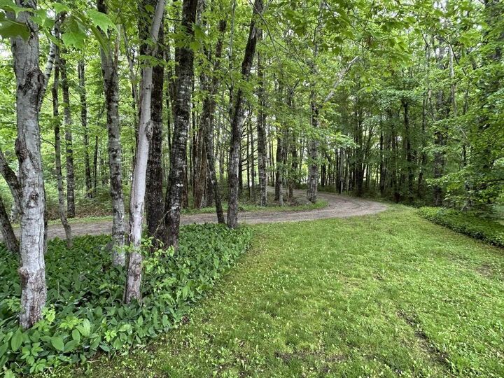 Property Photo: 371 Lacey Mines Road NS B0J 1K0