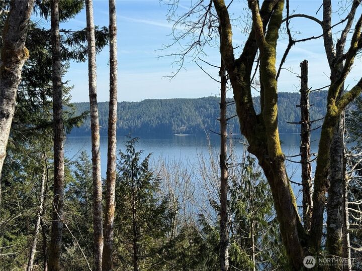 Property Photo:  63  Devereaux Drive  WA 98555 