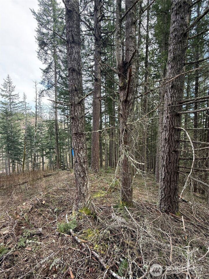 Property Photo: 53007 128th Avenue E WA 98328