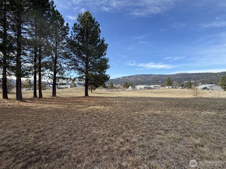 Property Photo:  0 Lot 55  Heron Loop Road  WA 99166 