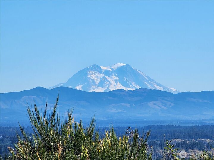 Property Photo:  0 Xxx  Hale Road  WA 98596 