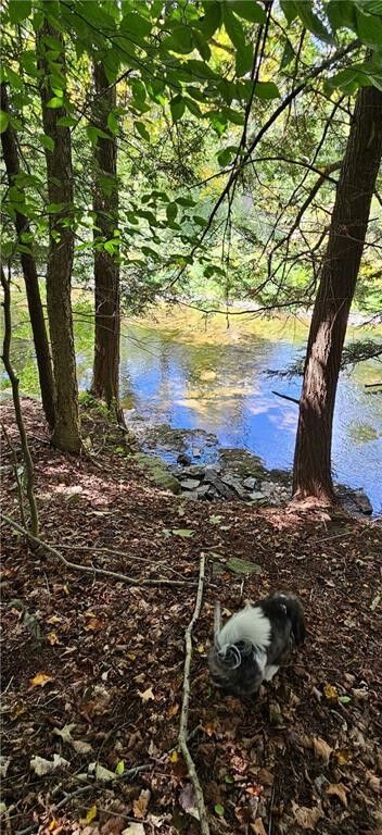 Property Photo:  0 Lafayette Road  NY 13073 