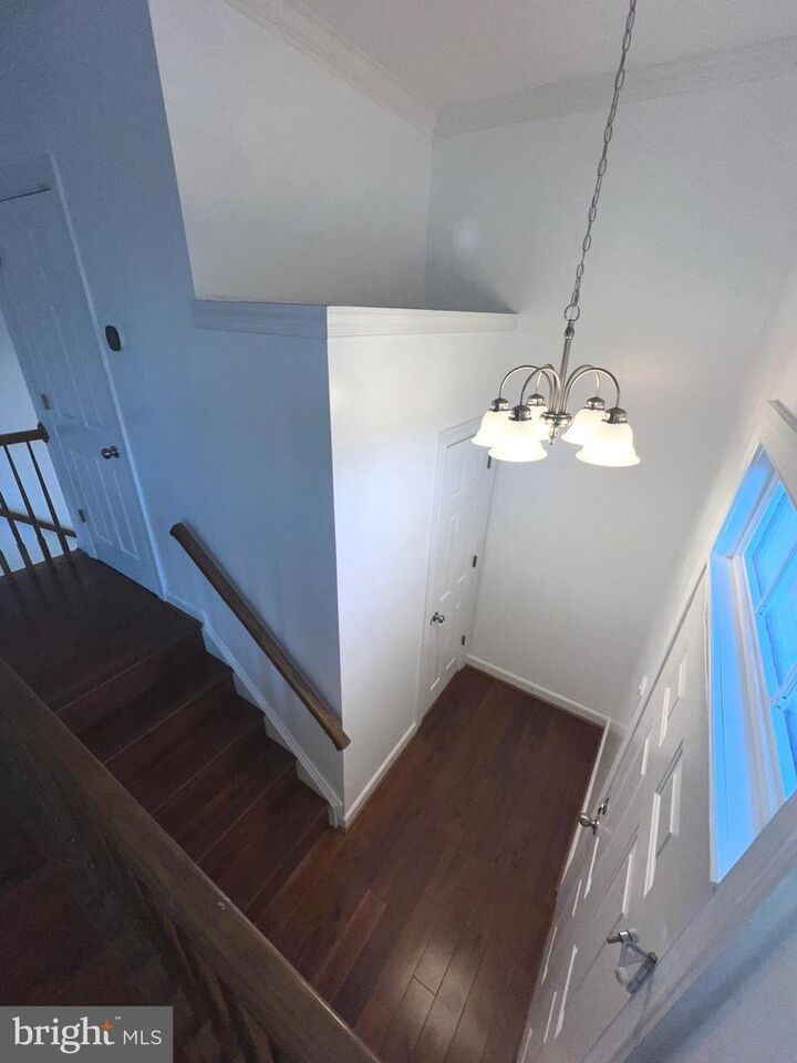 Property Photo: 14217 Belt Buckle Court VA 20121