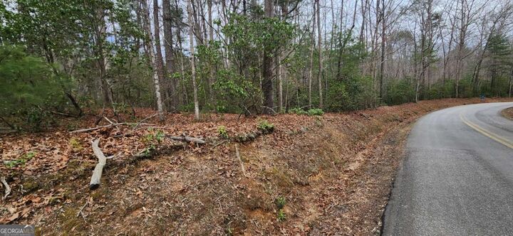 Property Photo: 9.95ac Hicks Gap Road GA 30512