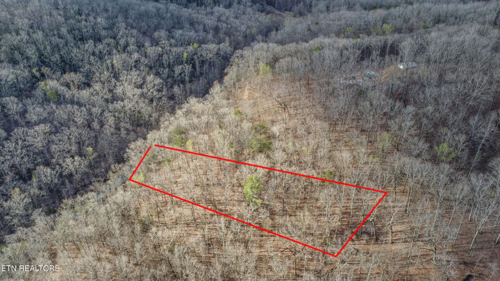 Property Photo:  Lot 435 Hidden Oaks Rd  TN 37854 